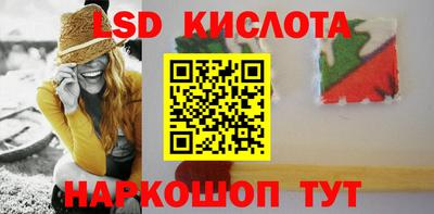 винт Донецк
